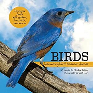 Birds: Discovering North American Species by Shirley Raines