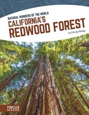 California's Redwood Forest by Christy Mihaly