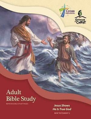 Adult Bible Study (Nt2) by Concordia Publishing House