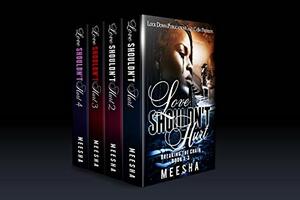 Love Shouldn't Hurt 1-4 by Meesha