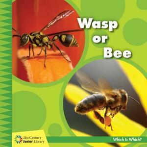 Wasp or Bee by Tamra Orr