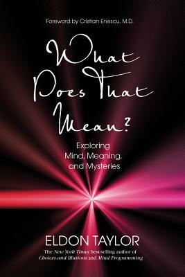 What Does That Mean?: Exploring Mind, Meaning, and Mysteries by Eldon Taylor