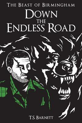 Down the Endless Road by T. S. Barnett