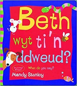 Beth Wyt Ti'n Ddweud? =What Do You Say? by Mandy Stanley