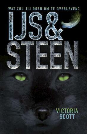 IJs & Steen by Victoria Scott