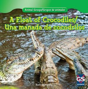 A Float of Crocodiles/Una Manada de Cocodrilos by Karlie Gambino