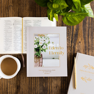 Eden to Eternity | the Chronological Story of Scripture | Volume 3 by The Daily Grace Co.