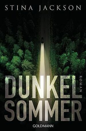 Dunkelsommer by Stina Jackson
