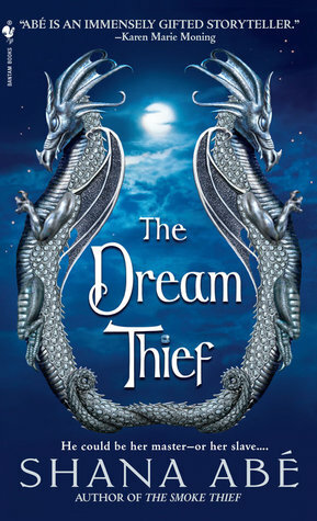 The Dream Thief by Shana Abe