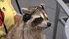 jetix's profile picture