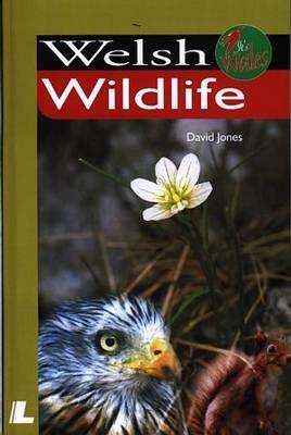 Welsh Wildlife by David Jones