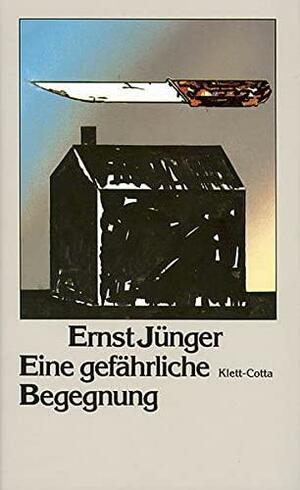 Eine gefährliche Begegnung by Ernst Jünger