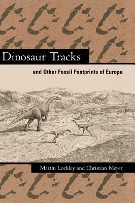 Dinosaur Tracks And Other Fossil Footprints Of The Western United States by Adrian P. Hunt, Martin Lockley