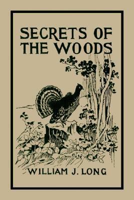 Secrets Of The Woods by William Joseph Long