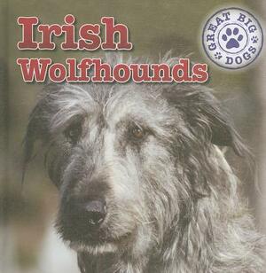 Irish Wolfhounds by Kristen Rajczak