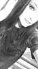 itsbellenotbella's profile picture