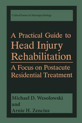 A Practical Guide to Head Injury Rehabilitation: A Focus on Postacute Residential Treatment by Arnie H. Zencius, Michael D. Wesolowski