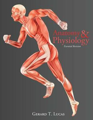 Anatomy & Physiology Essential Revision: 4,000 Revision Questions by Gerard T. Lucas