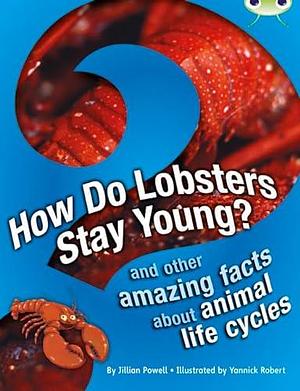 Bug Club Independent Non Fiction Year 3 Brown a How Do Lobsters Stay Young? by Jillian Powell