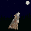lesbianwolves's profile picture