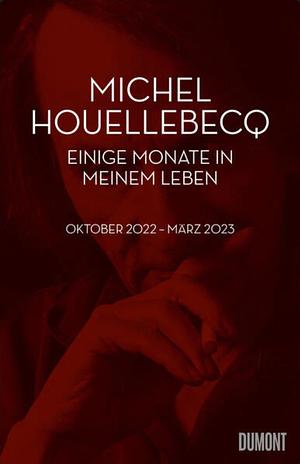 Einige Monate in meinem Leben: Oktober 2022 – März 2023 by Michel Houellebecq