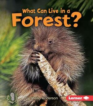 What Can Live in a Forest? by Sheila Anderson