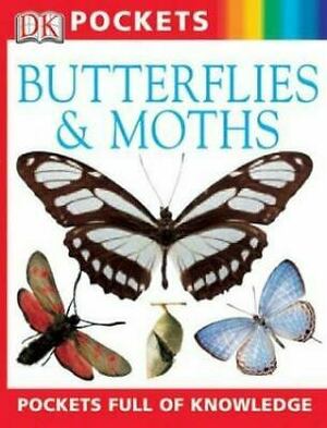 Butterflies and Moths by Barbara Taylor