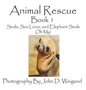Animal Rescue, Book 1, Seals, Sea Lions and Elephant Seals, Oh My! by Penelope Dyan