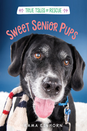 Sweet Senior Pups by Kama Einhorn