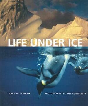 Life Under Ice by Bill Curtsinger, Mary M. Cerullo