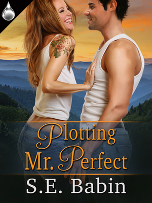 Plotting Mr. Perfect by S.E. Babin