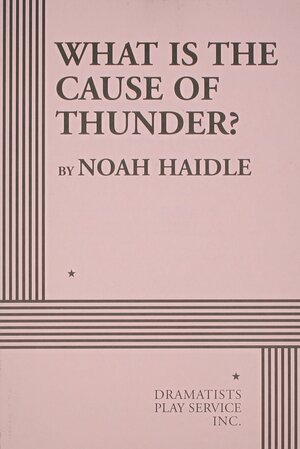 What Is the Cause of Thunder? by Noah Haidle