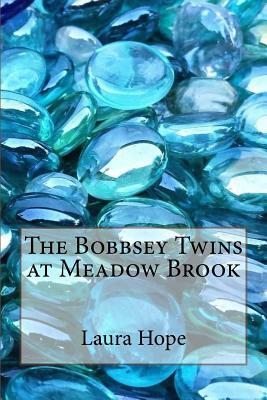 The Bobbsey Twins at Meadow Brook by Laura Lee Hope