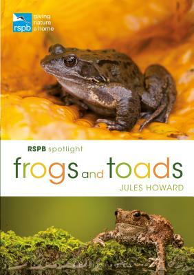 Rspb Spotlight Frogs and Toads by Jules Howard