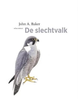 De slechtvalk by J.A. Baker