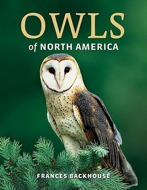 Owls of North America by Frances Backhouse