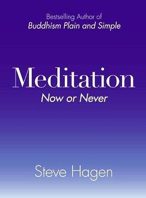 Meditation: Now or Never by Steve Hagen, Steve Hagen