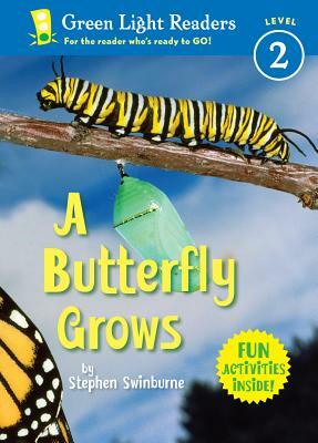 A Butterfly Grows by Stephen R. Swinburne