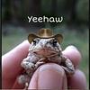 frogwithahat's profile picture