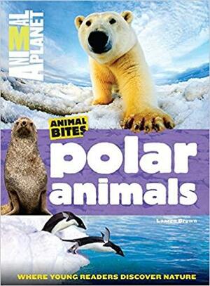 Animal Planet Polar Animals by Laaren Brown