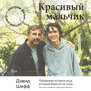 Красивый мальчик. Правдивая история отца, который боролся за сына by David Sheff