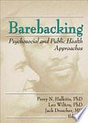 Barebacking: Psychosocial and Public Health Approaches by Perry Halkitis, Jack Drescher, Leo Wilton