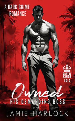 Owned: His Demanding Boss by Jamie Harlock