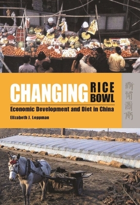 Changing Rice Bowl: Economic Development and Diet in China by Elizabeth J. Leppman