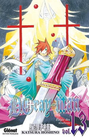 D.Gray-Man, tome 13: Un Chant Dans Les Ténèbres by Katsura Hoshino, Sébastien Bigini