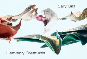 Heavenly Creatures by Sally Gall