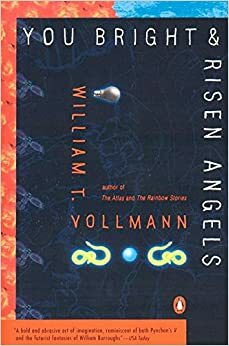 Vós, Luminosos e Elevados Anjos by William T. Vollmann