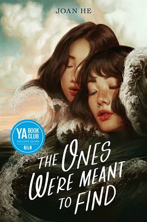 The Ones We're Meant To Find by Joan He