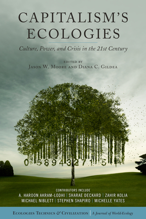 Capitalism's Ecologies: Culture, Power, and Crisis in the 21st Century by Michael Niblett, Jason W. Moore, Sharae Deckard, Diana C. Gildea