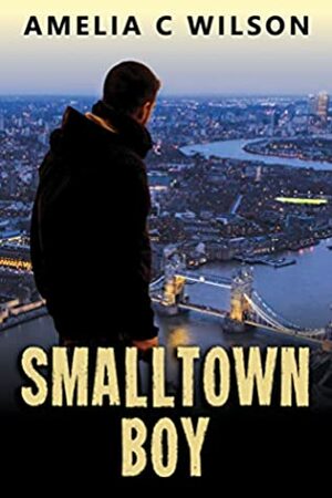 Smalltown Boy by Amelia C. Wilson